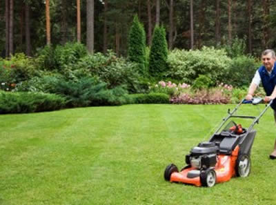 Full garden maintenance for rental properties